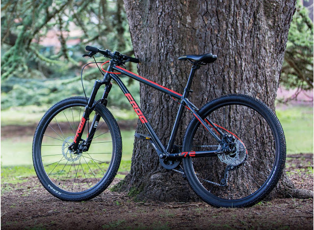Frog Bikes launched New Mountain Bikes for Kids