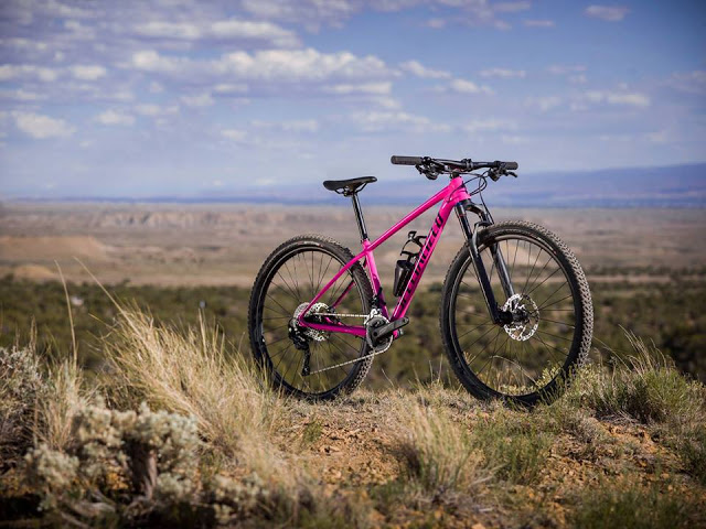 specialized pink mountain bike