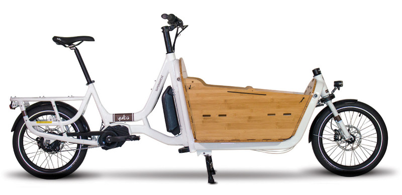 Introducing a New Yuba Electric Cargo Bike + Carry kiddos with confidence