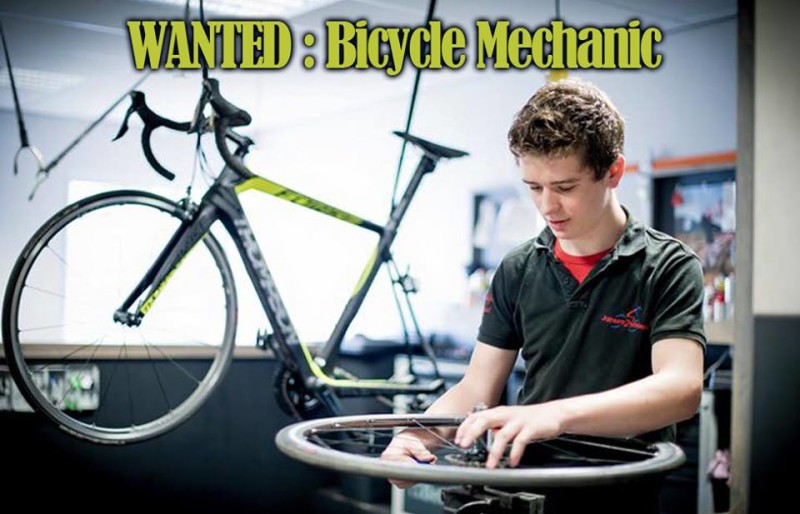 Job Offer by Thompson -  Bicycle Mechanic