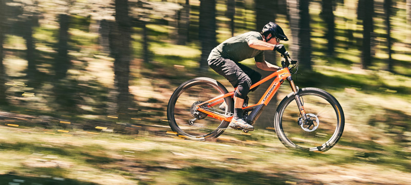Take Back Control, Take Back Your Wild.  Introducing the New Orbea Wild FS