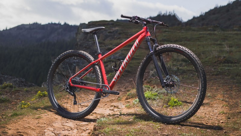 Specialized Rockhopper - Versatility and Performance for All