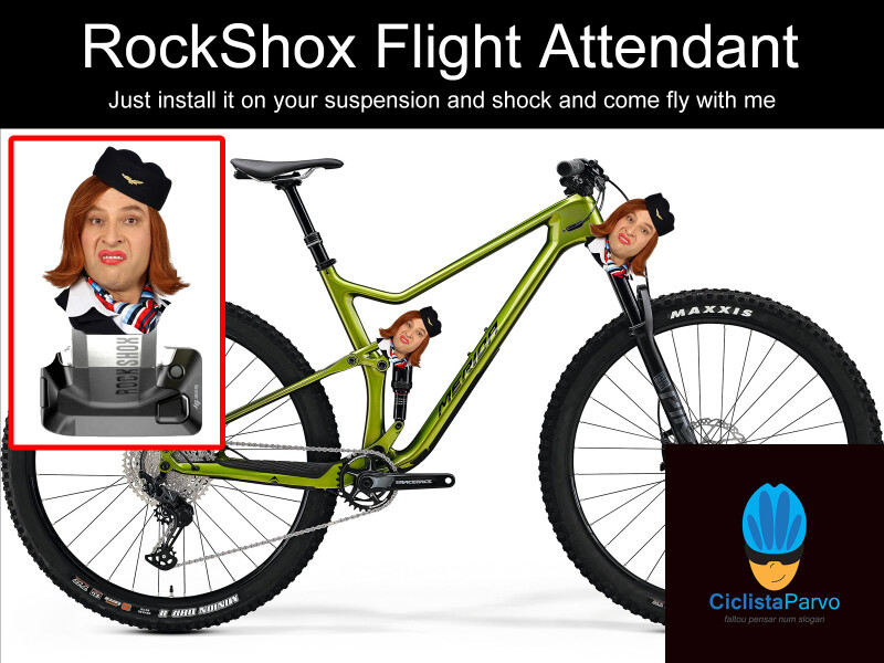 RockShox Flight Attendant