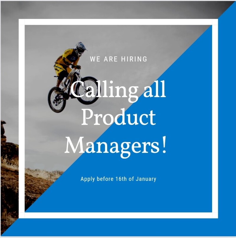 Job Offer By Herrmans - Product Manager