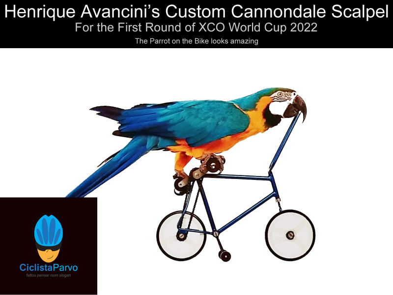 Henrique Avancini’s Custom Cannondale Scalpel