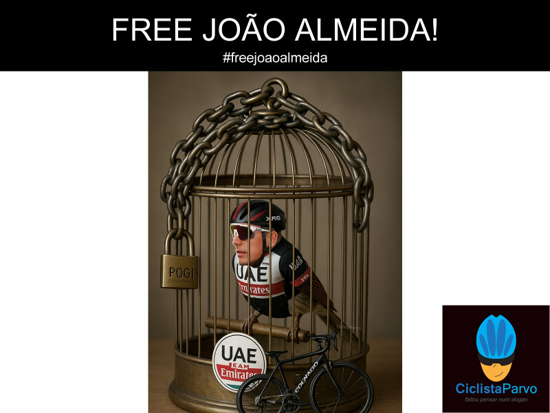 FREE JOÃO ALMEIDA! #freejoaoalmeida