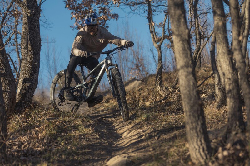 E-Bikes as a Sustainable Solution for Urban Carbon Reduction: Real-World Case Studies