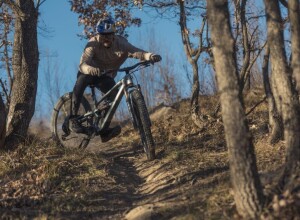 E-Bikes as a Sustainable Solution for Urban Carbon Reduction: Real-World Case Studies