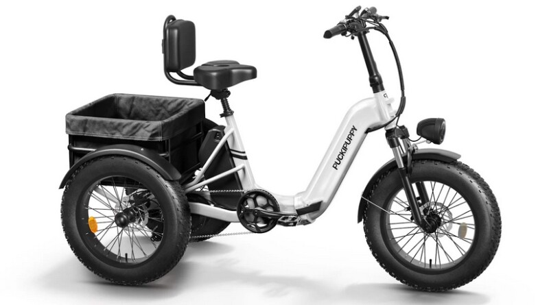 Your New Grocery Getter: How an E-Trike Can Simplify Your Weekly Shopping