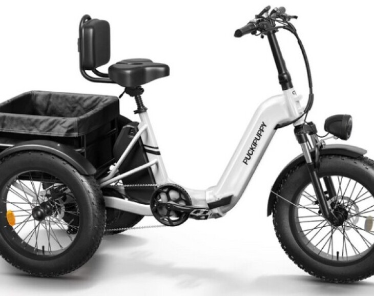 Your New Grocery Getter: How an E-Trike Can Simplify Your Weekly Shopping