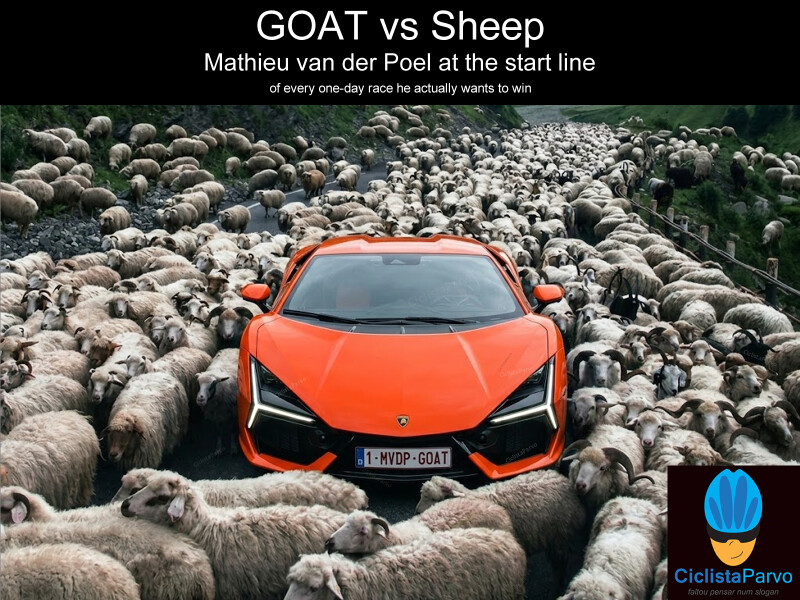 GOAT vs Sheep Mathieu van der Poel at the start line  of every one-day race he actually wants to win